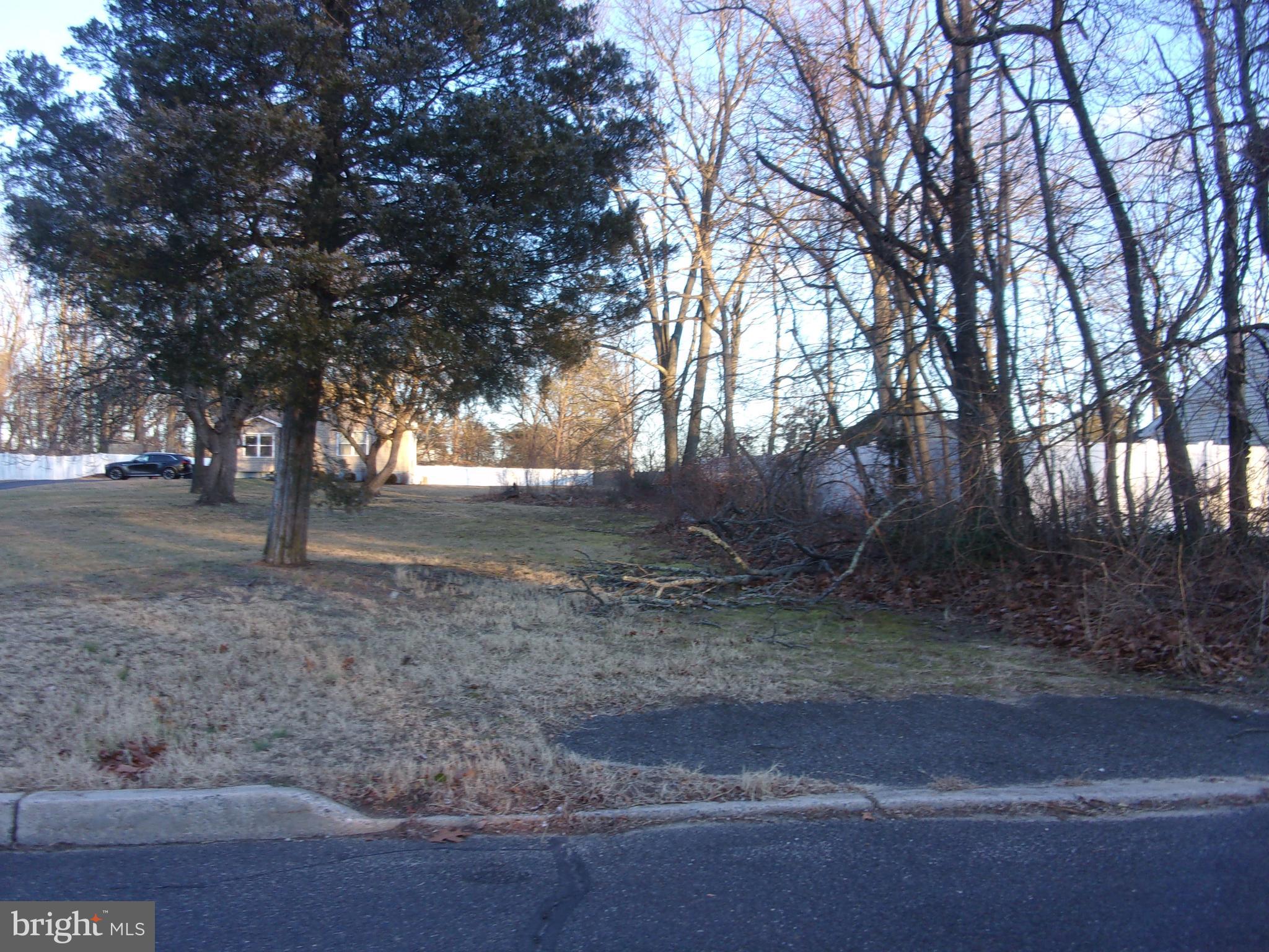 405 Oak Avenue West Berlin, NJ 08091 - Photo 3 of 3 a view of dirt yard with a large tree