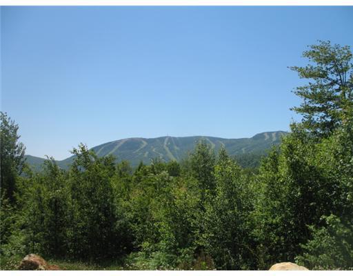 Lot3 Douglass Road Newry, ME 04261 - Photo 1 of 2 Land.