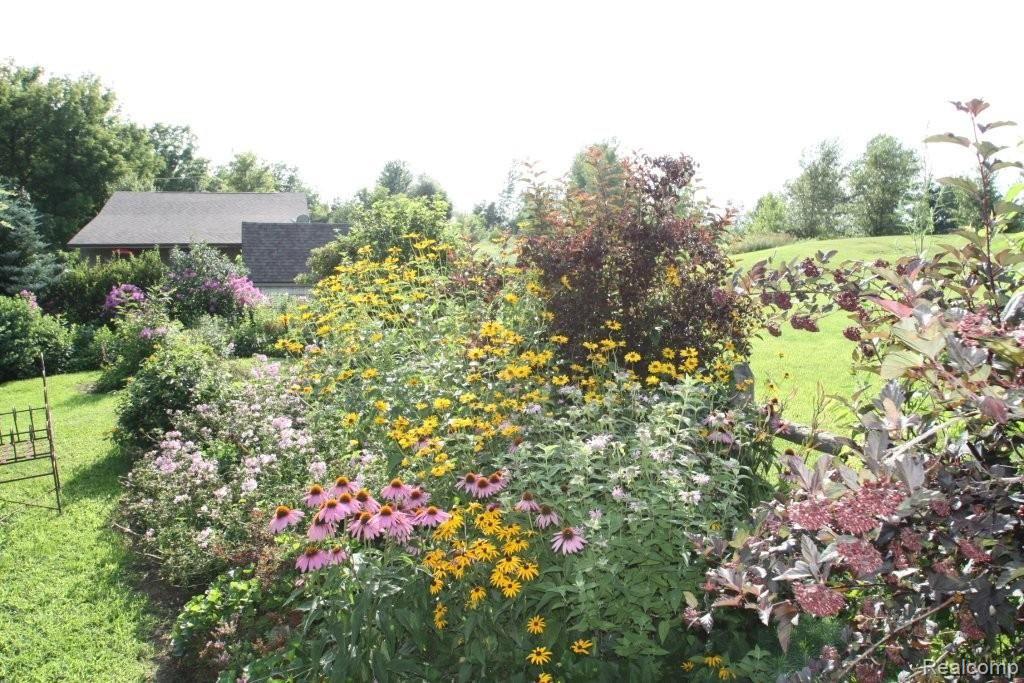 8280 Logana Road Avoca, MI 48006 - Photo 24 of 37 8280 Logana flower garden 1.JPG