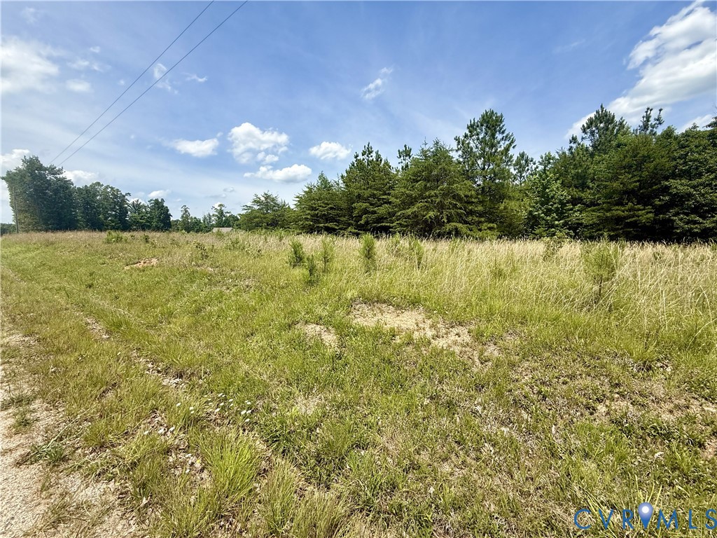 Lot 25 Whispering Wood Road Meherrin, VA 23954 - Photo 10 of 13