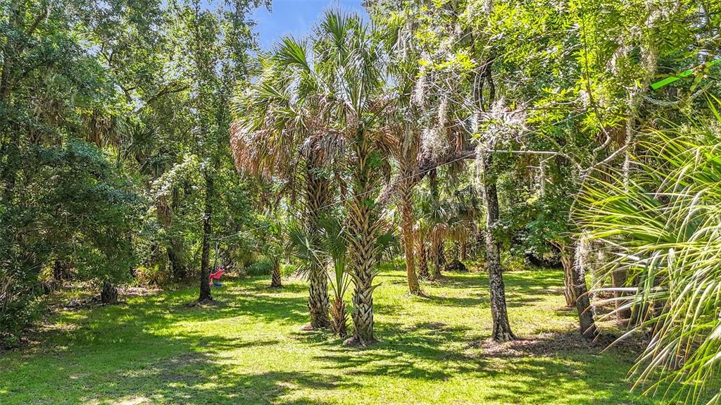 273 Griffin Road Wauchula, FL 33873 - Photo 38 of 48