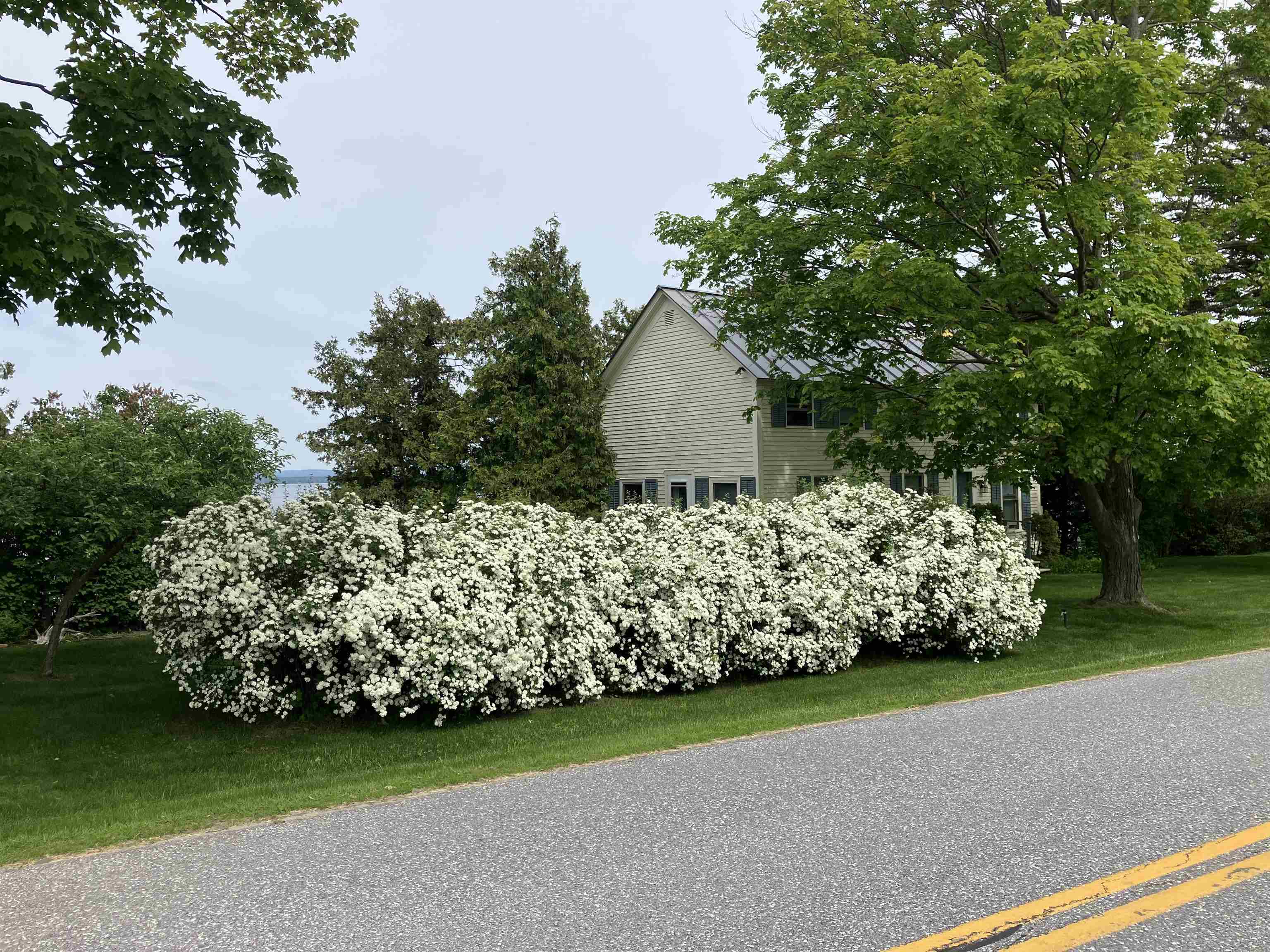 255 West Shore Road Grand Isle, VT 05458 - Photo 43 of 57 Gallery Image 43