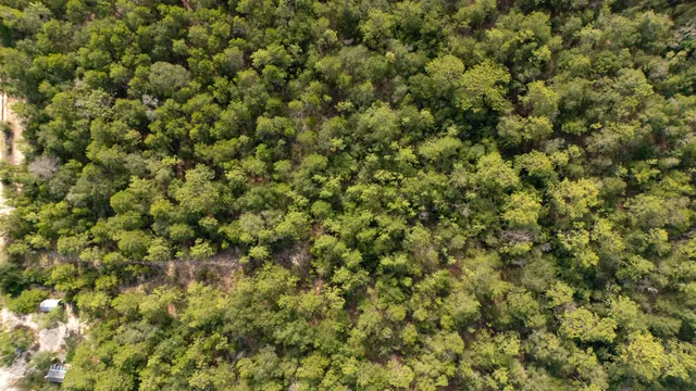 an aerial view of a houses with a lake view