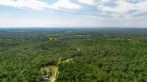 a view of a green field with lots of bushes