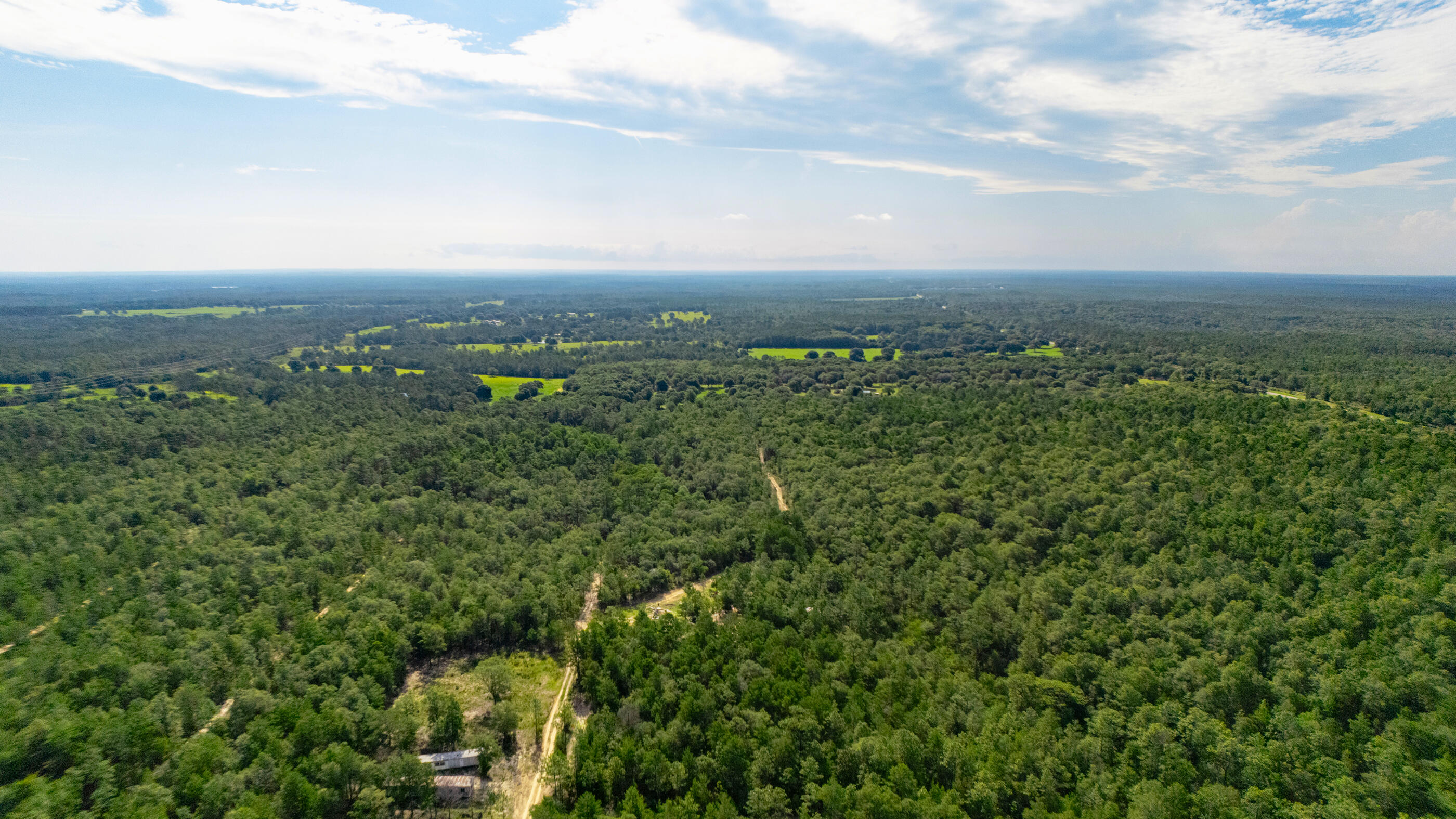 7-8 Tarpon Lane DeFuniak Springs, FL 32433 - Photo 5 of 18 a view of a green field with lots of bushes