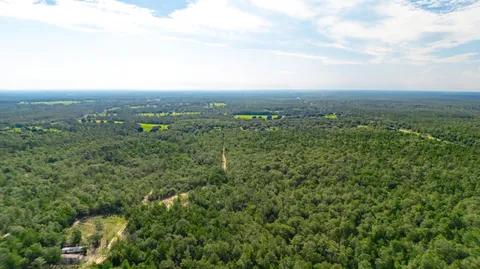 a view of a green field with lots of bushes