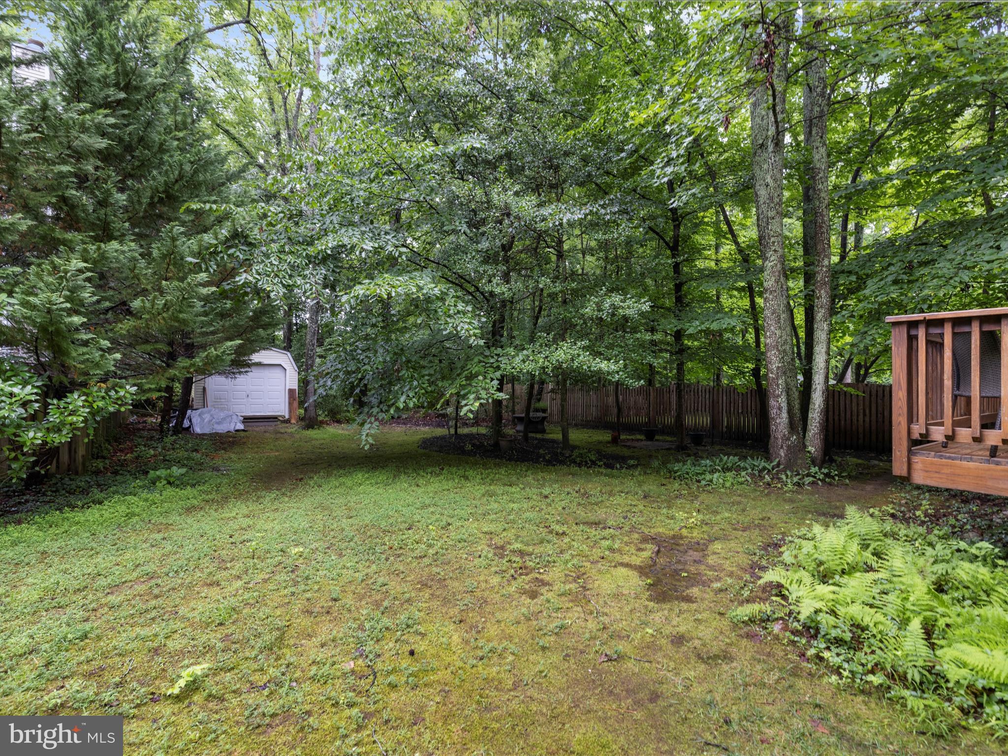 3618 Calvert Street Edgewater, MD 21037 - Photo 54 of 90 Rear yard