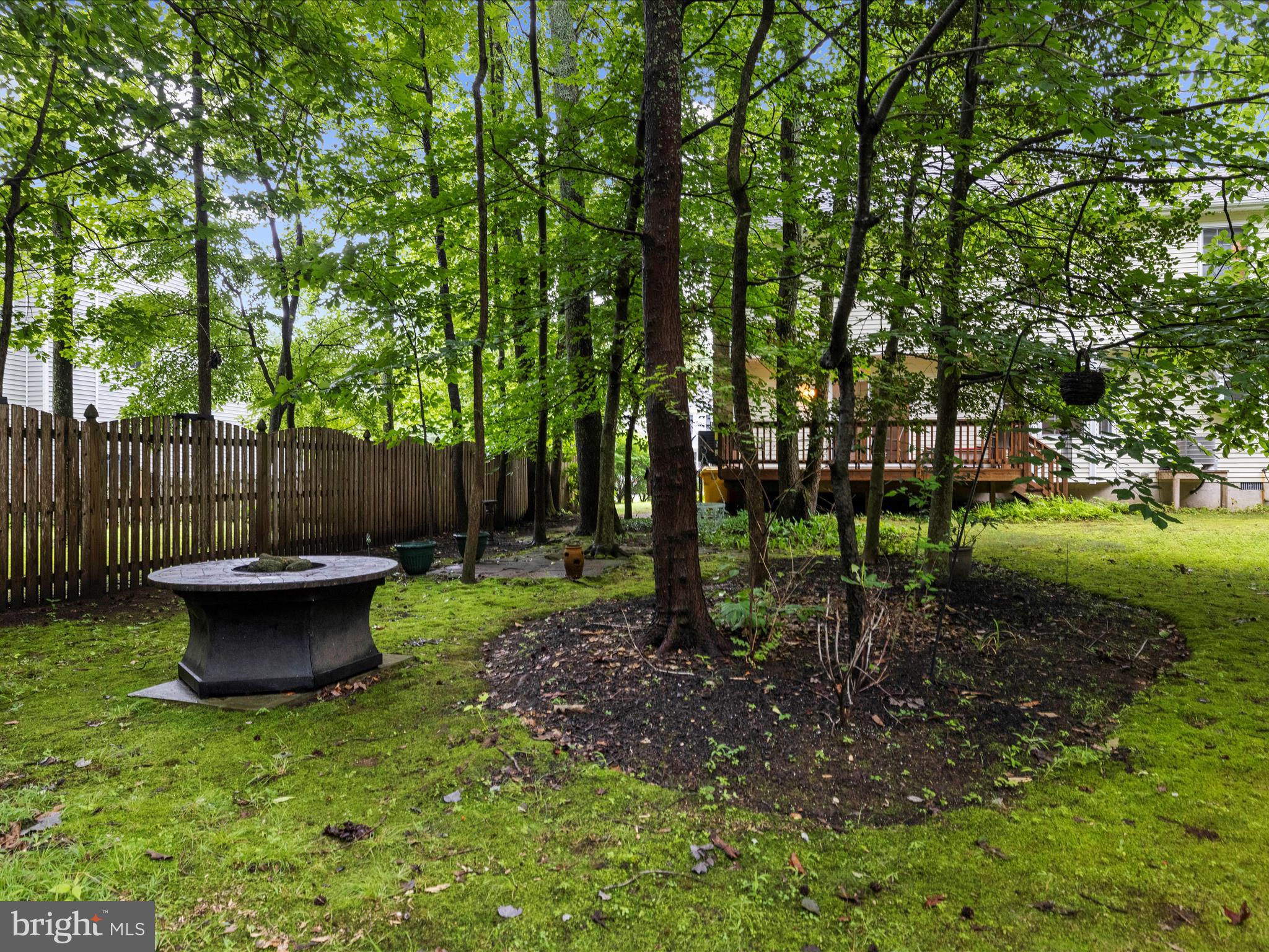 3618 Calvert Street Edgewater, MD 21037 - Photo 56 of 90 View towards house from rear yard
