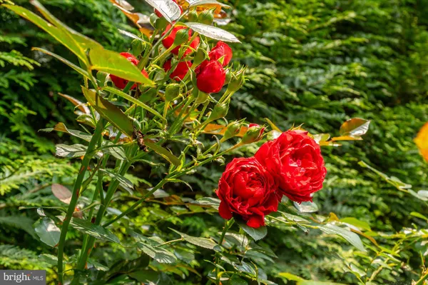 $5,500,000 | 6804 Benjamin Street, McLean, VA 22101