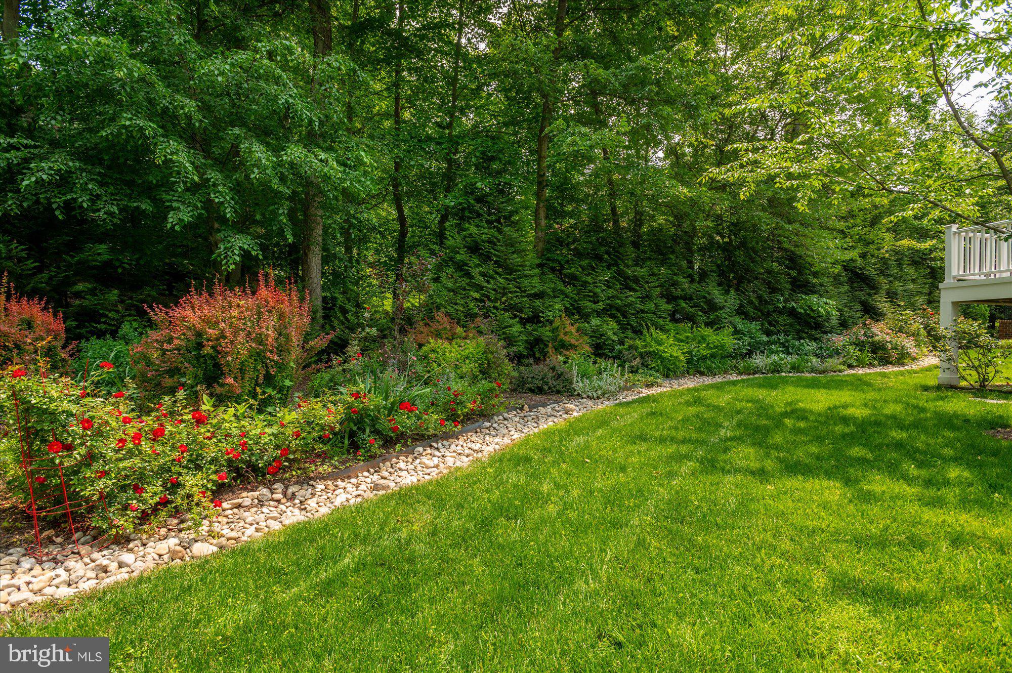 6804 Benjamin Street McLean, VA 22101 - Photo 64 of 68 a view of yard with green space