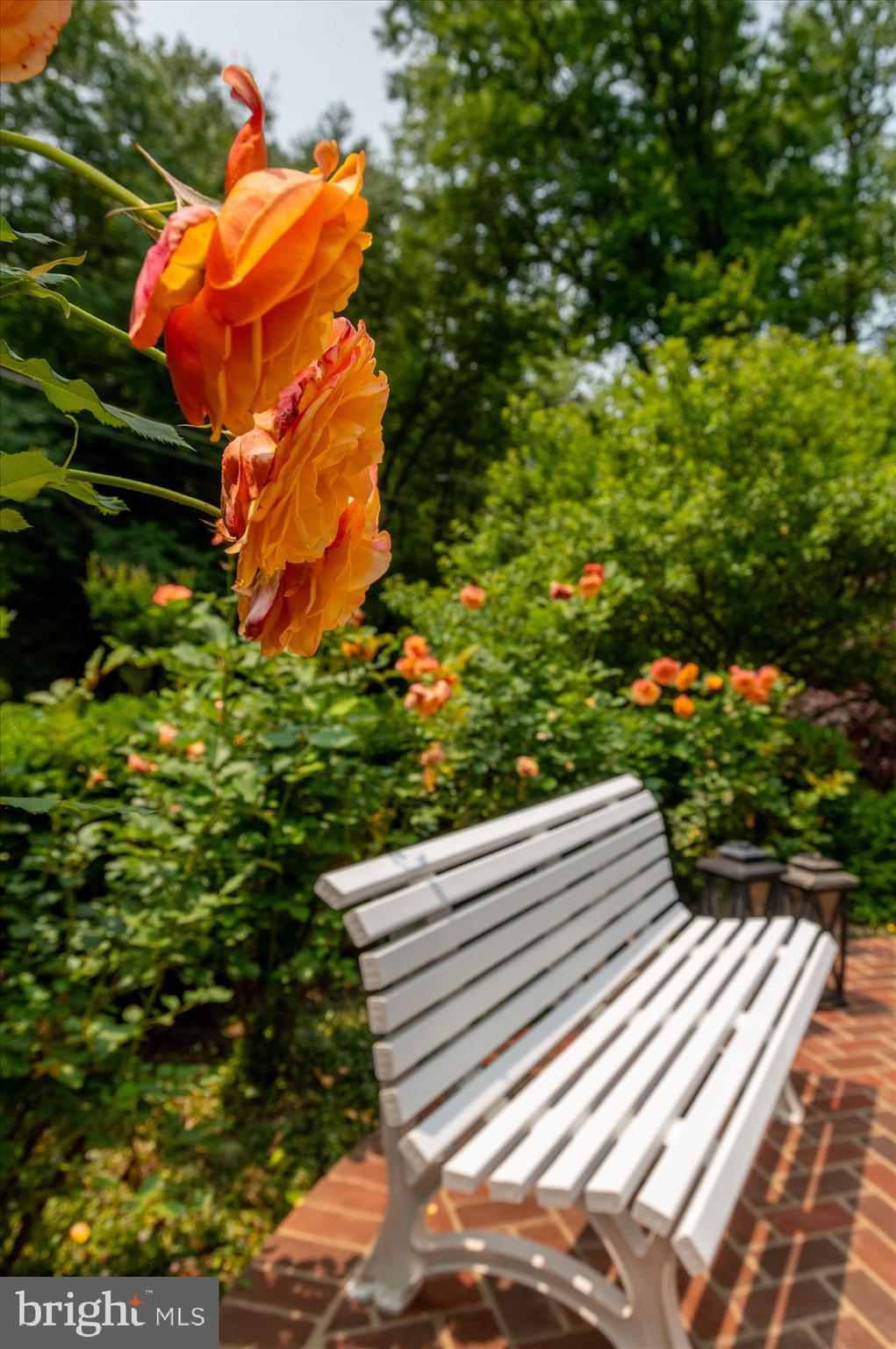 6804 Benjamin Street McLean, VA 22101 - Photo 67 of 68 a view of a backyard with plants