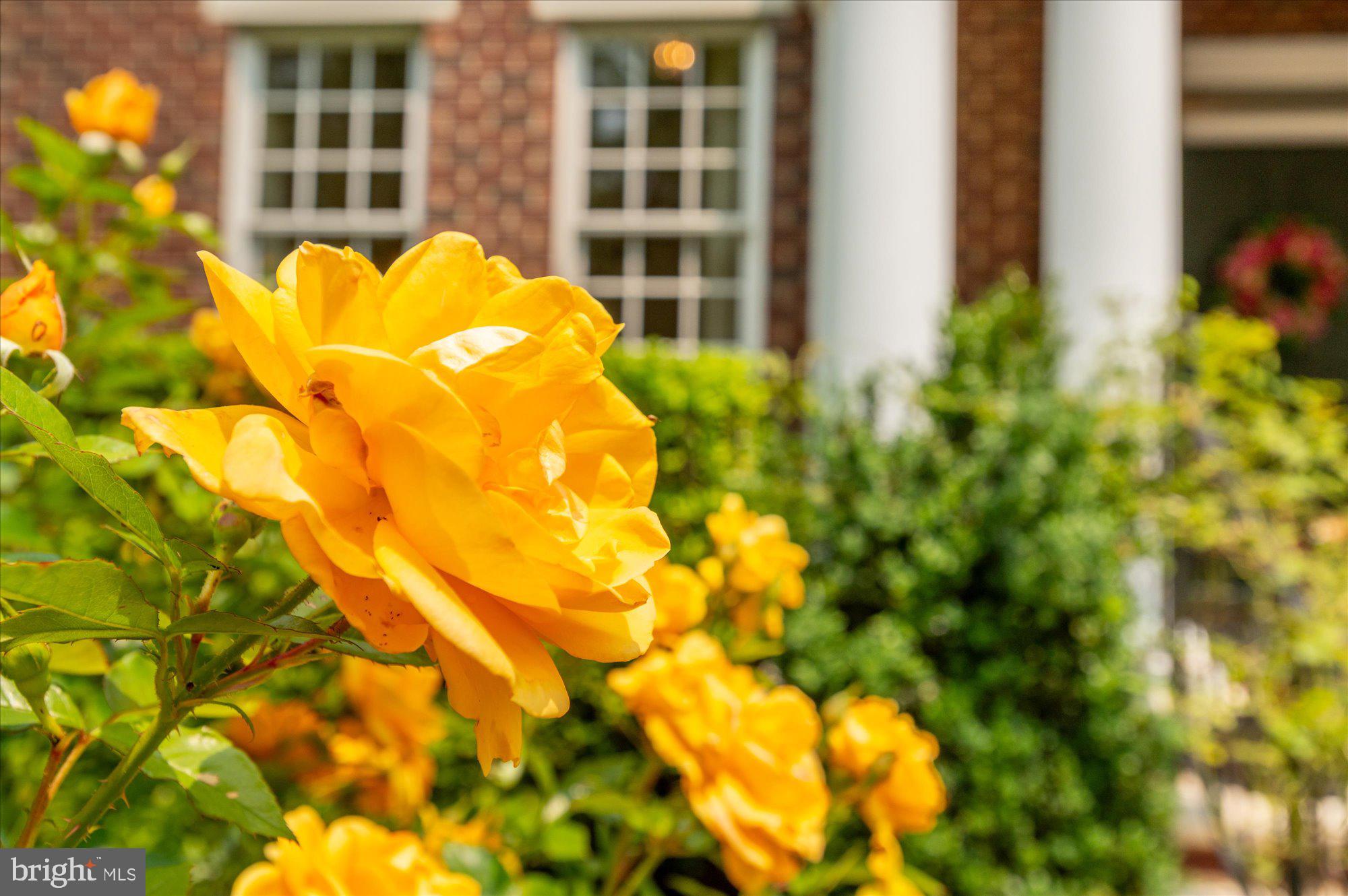 6804 Benjamin Street McLean, VA 22101 - Photo 7 of 68