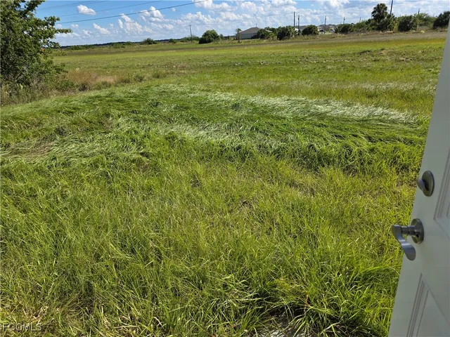 a view of a field with an ocean