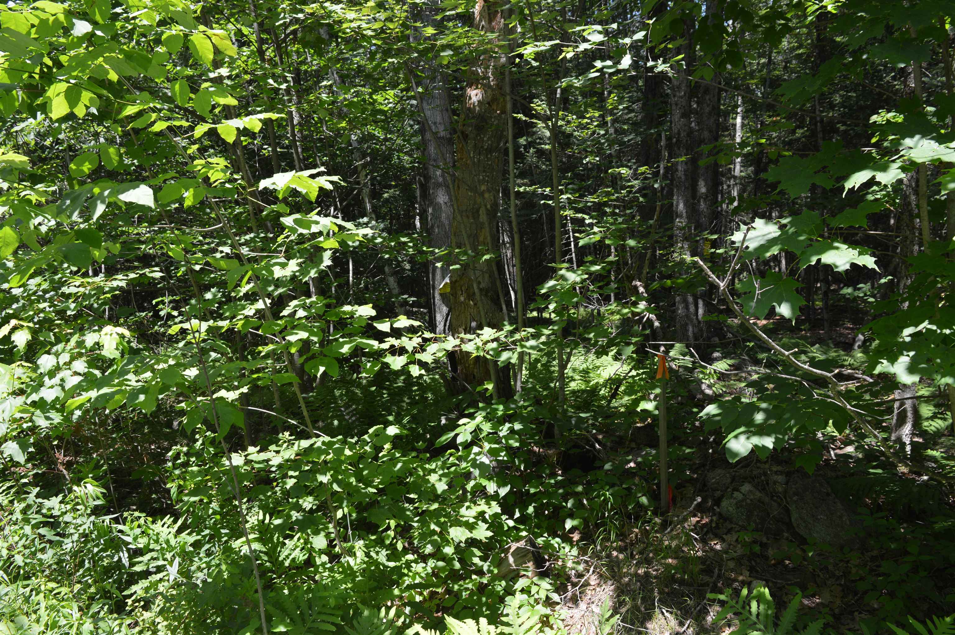 Bradford Road Newport, NH 03773 - Photo 13 of 17