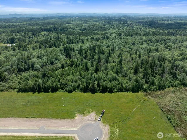 a view of a grassy area with an trees