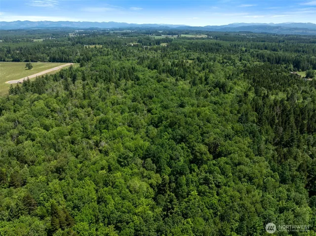 a view of a lake and green valley