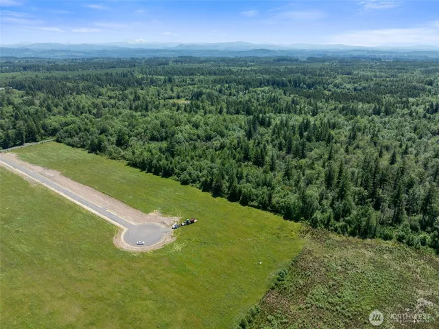 a view of a green field with lots of bushes