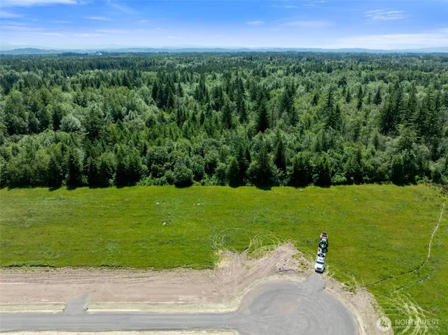a view of a grassy field with an trees