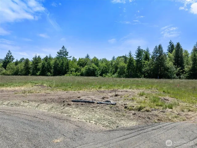 a view of a field with trees in the background
