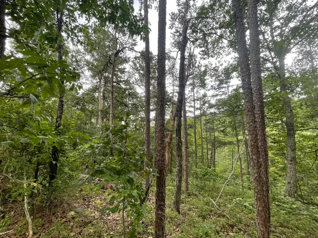 a view of outdoor space and mountain view