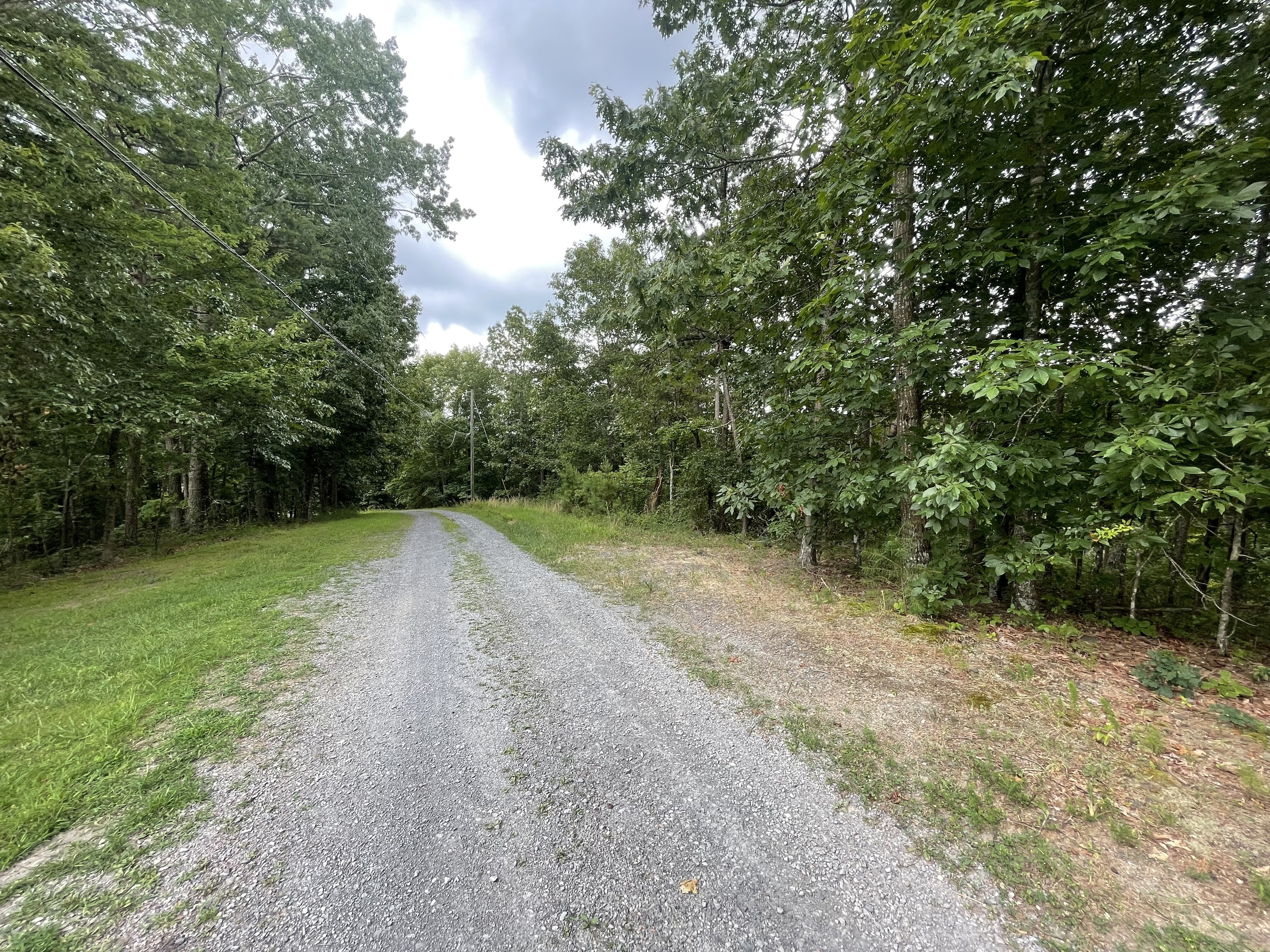 1314 Arrow Court Ranger, GA 30734 - Photo 3 of 13 a view of a field with trees in the background