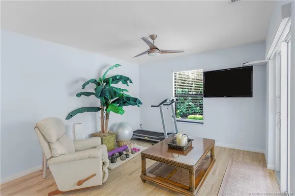 a living room with furniture potted plant and a lamp