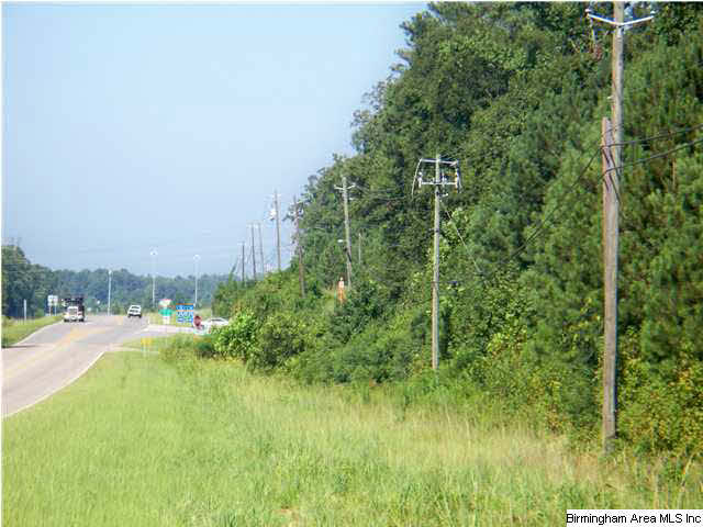 0 Highway 11 Vance Al Vance, AL 35490 - Photo 1 of 8