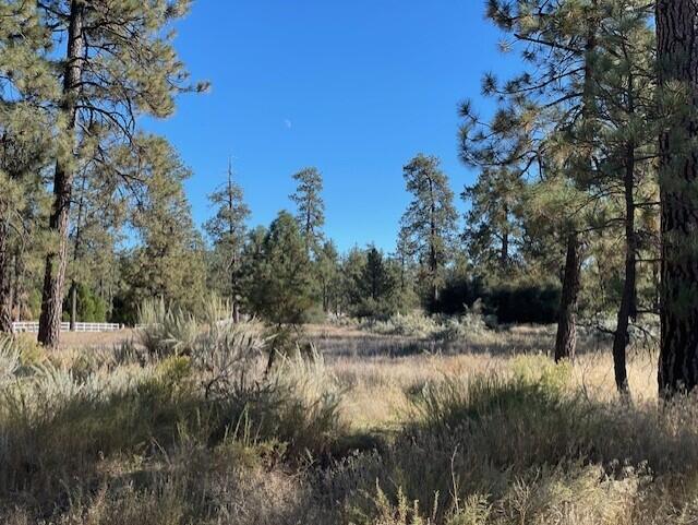 Lot 18 Pyramid Peak Road Mountain Center, CA 92561 - Photo 2 of 5 a view of a lake with a yard