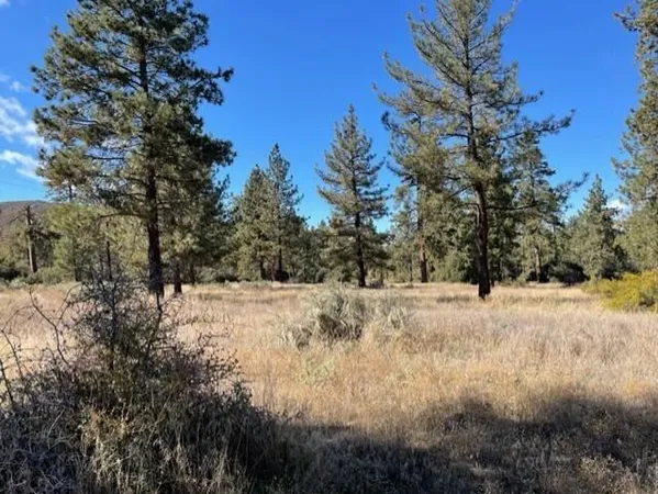 a view of a yard covered in snow