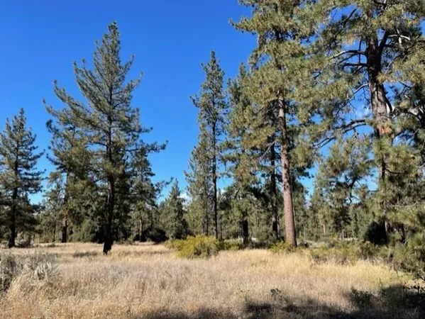 a street view covered with snow