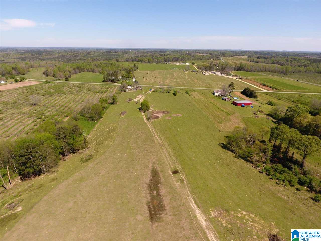 0 County Road 30, Unit 1 Clanton, AL 35045 - Photo 19 of 32