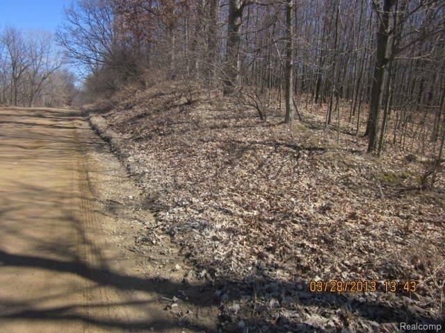Par C Par C Bruff Road Howell, MI 48855 - Photo 2 of 7 FRONT.JPG