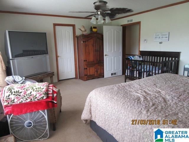 455 Francis Mill Road Ohatchee, AL 36271 - Photo 19 of 49