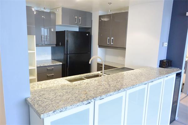 8 Museum Way, Unit 1201 Cambridge, MA 02141 - Photo 4 of 25 a kitchen with granite countertop a refrigerator and a sink