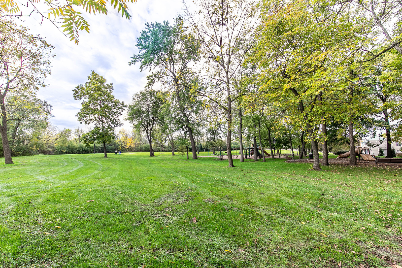 559 Cross Road Gurnee, IL 60031 - Photo 27 of 27 a view of a big yard with a tree
