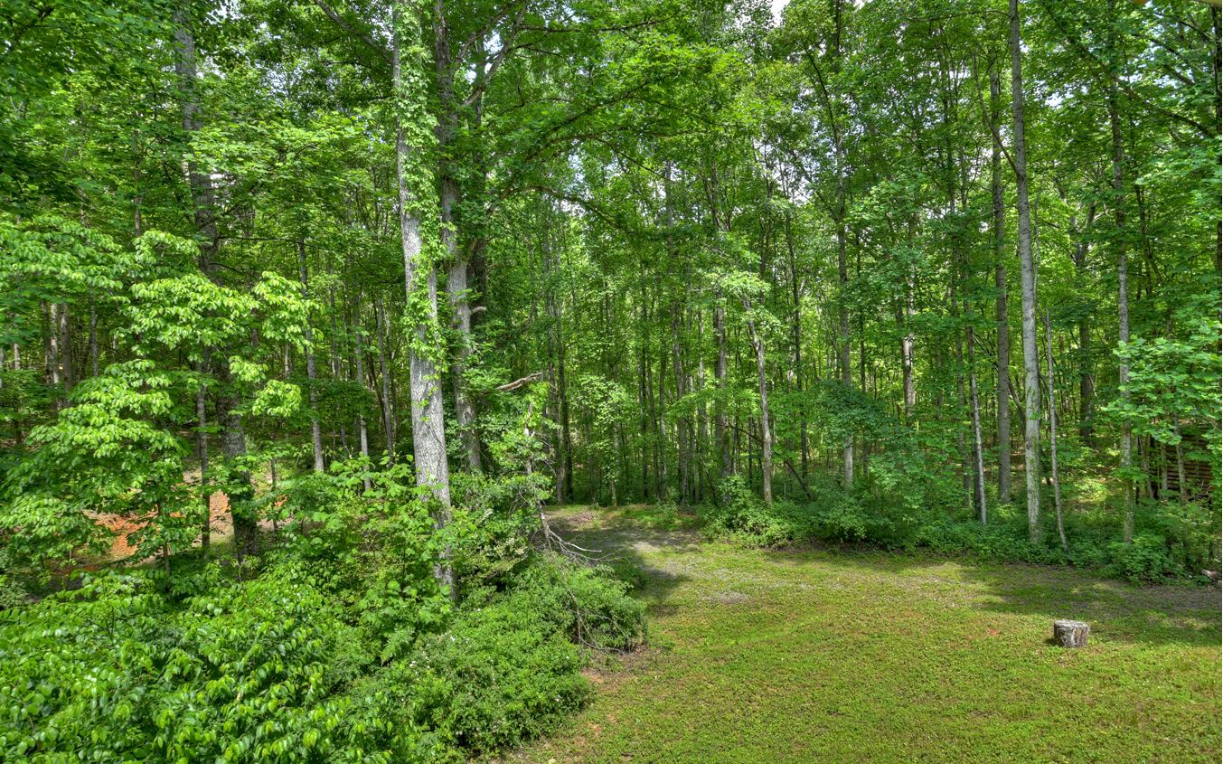 120 Damascus Road Blue Ridge, GA 30513 - Photo 3 of 31 Additional View