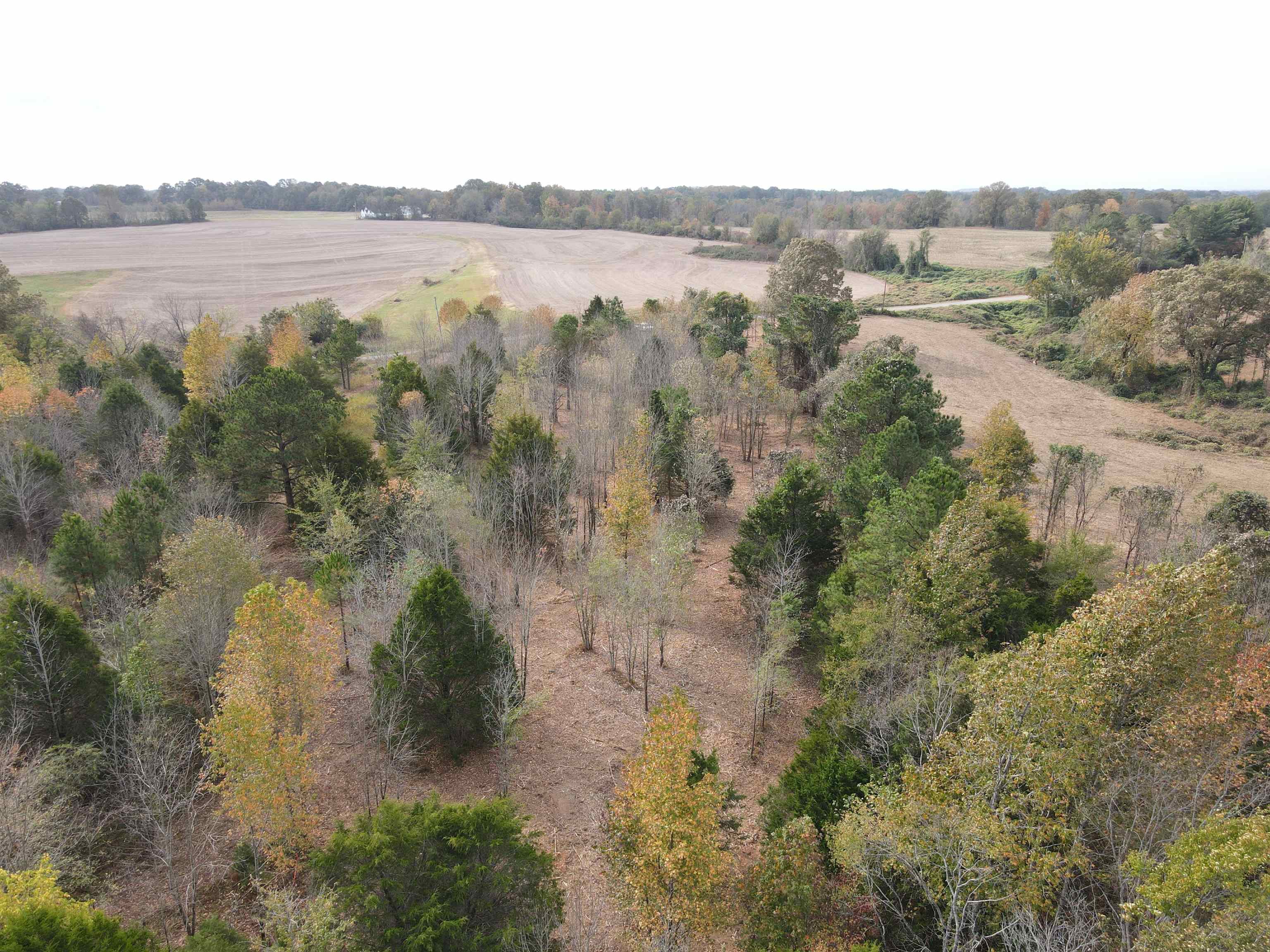 Middlefork Road Huron, TN 38345 - Photo 1 of 4 a view of mountain with lake view