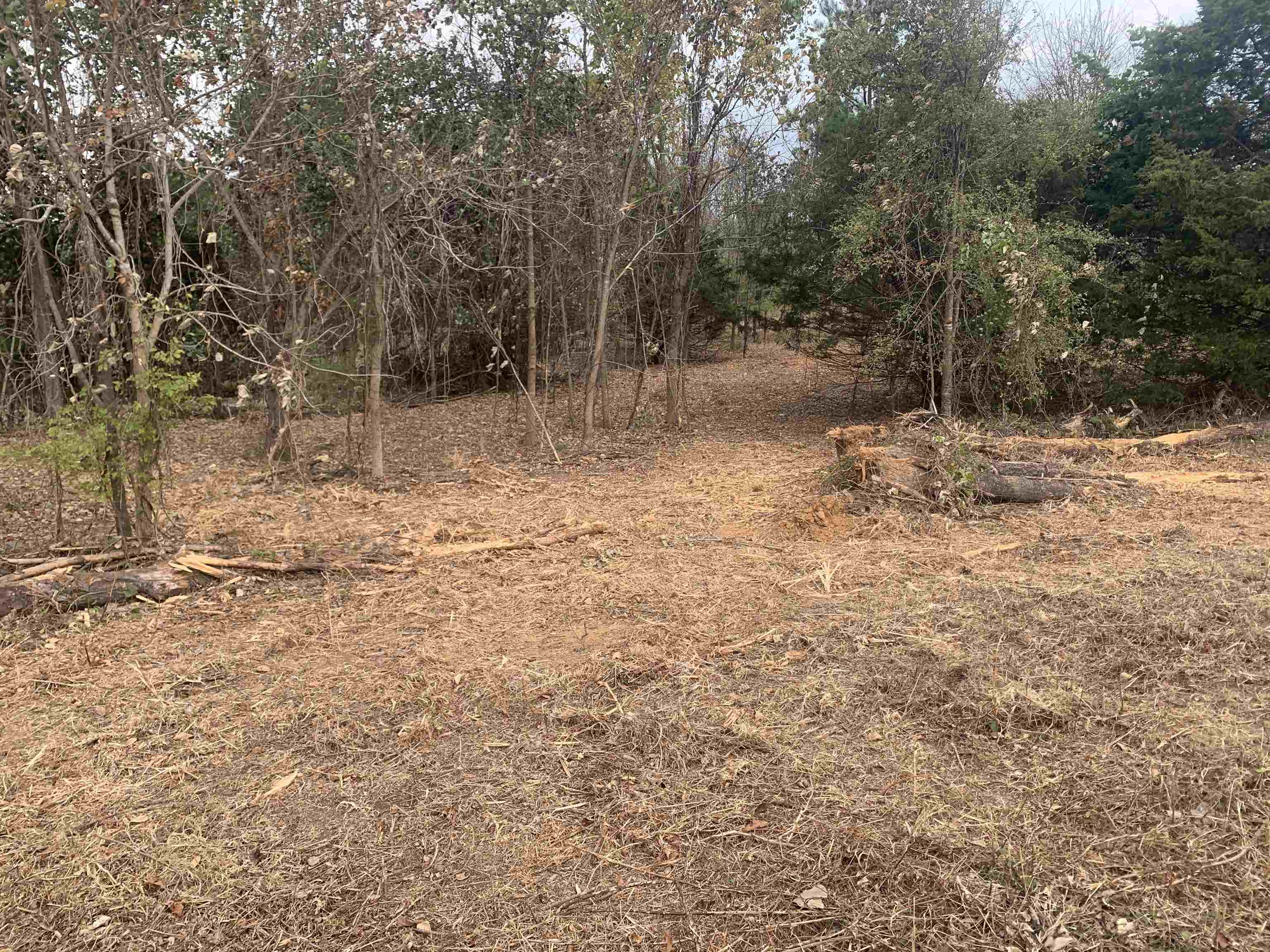 Middlefork Road Huron, TN 38345 - Photo 3 of 4 a backyard of a house with lots of green space