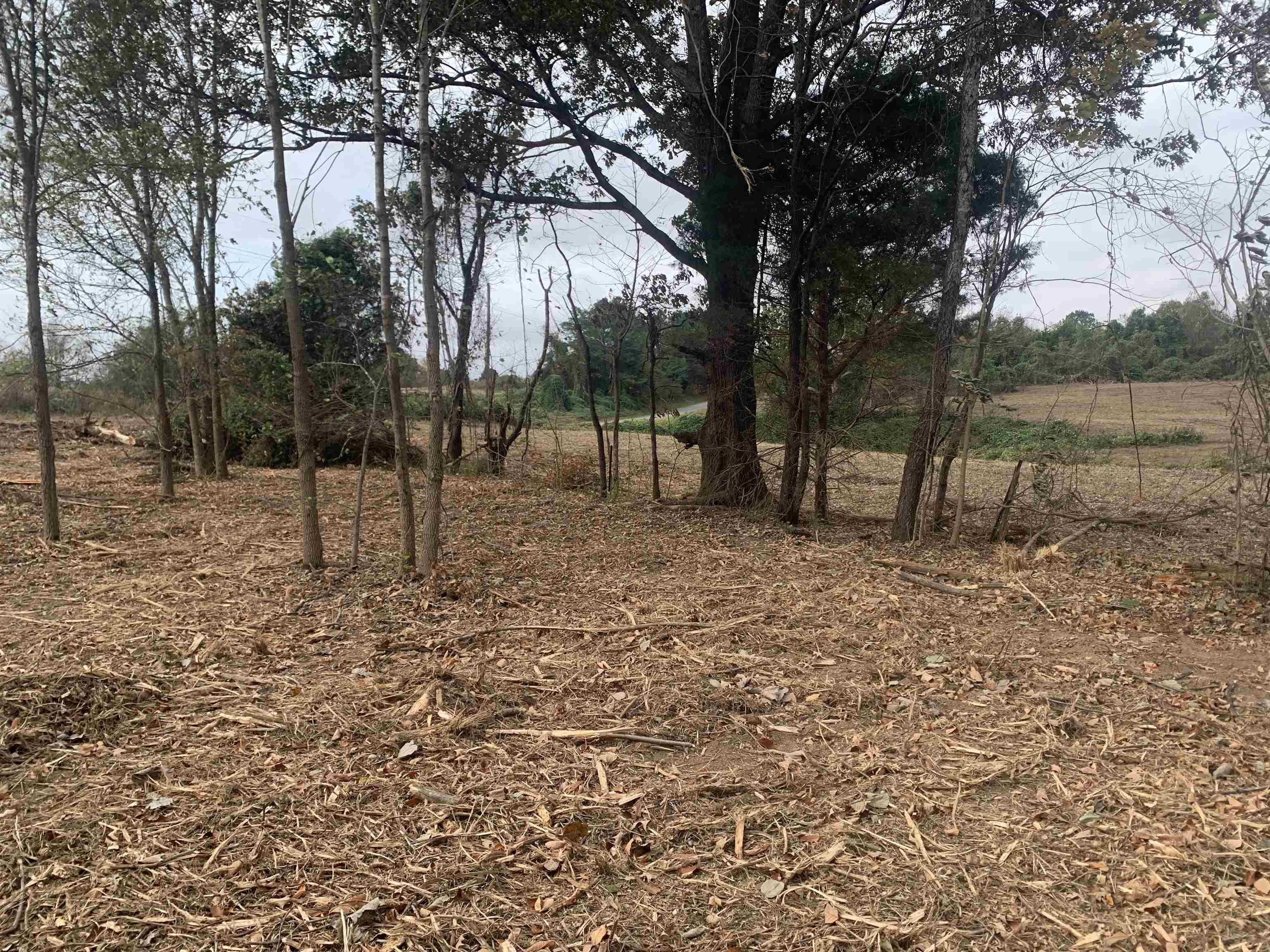 Middlefork Road Huron, TN 38345 - Photo 4 of 4 a view of backyard with green space