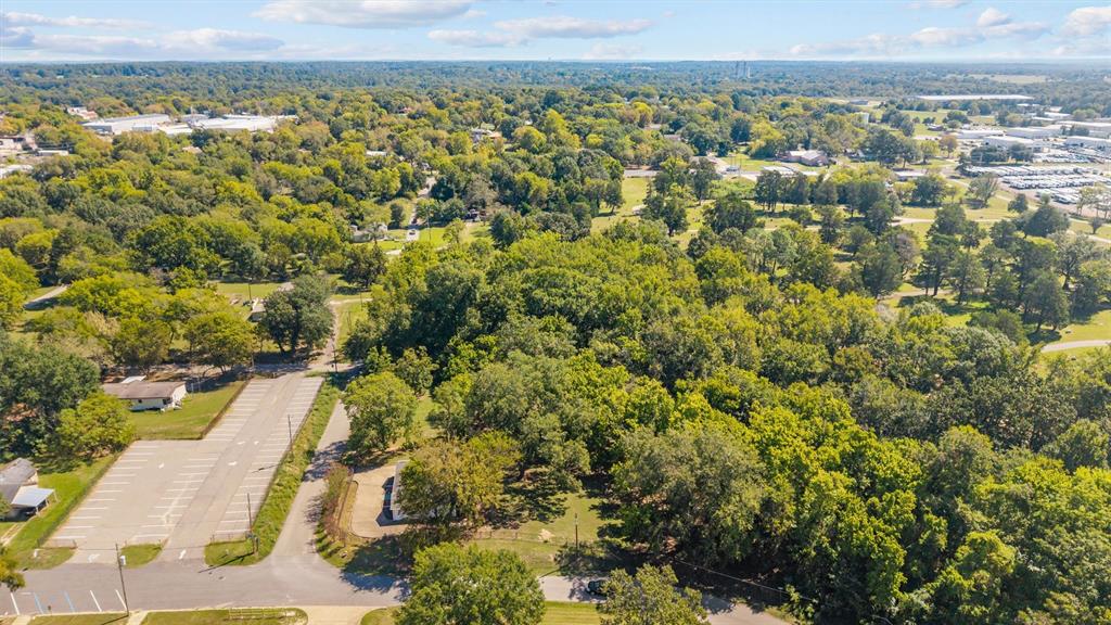 357 Belcher Street Mineola, TX 75773 - Photo 3 of 7 Bird's eye view of a forest