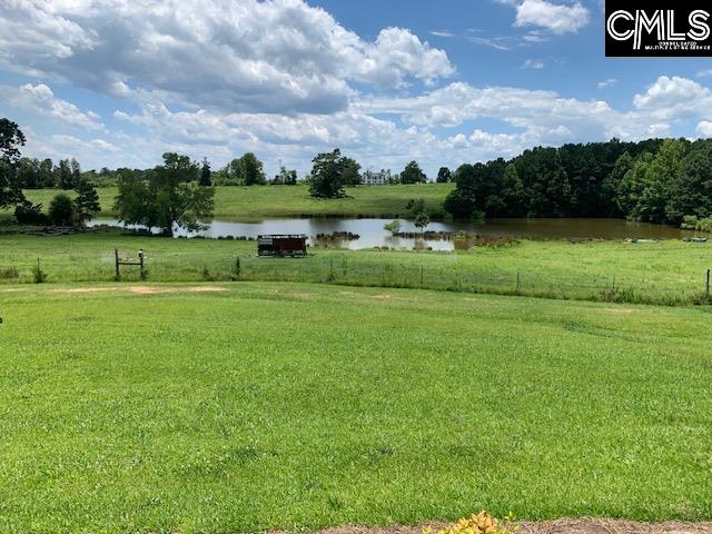 223 State Rd S-20-53 Winnsboro, SC 29180 - Photo 43 of 45
