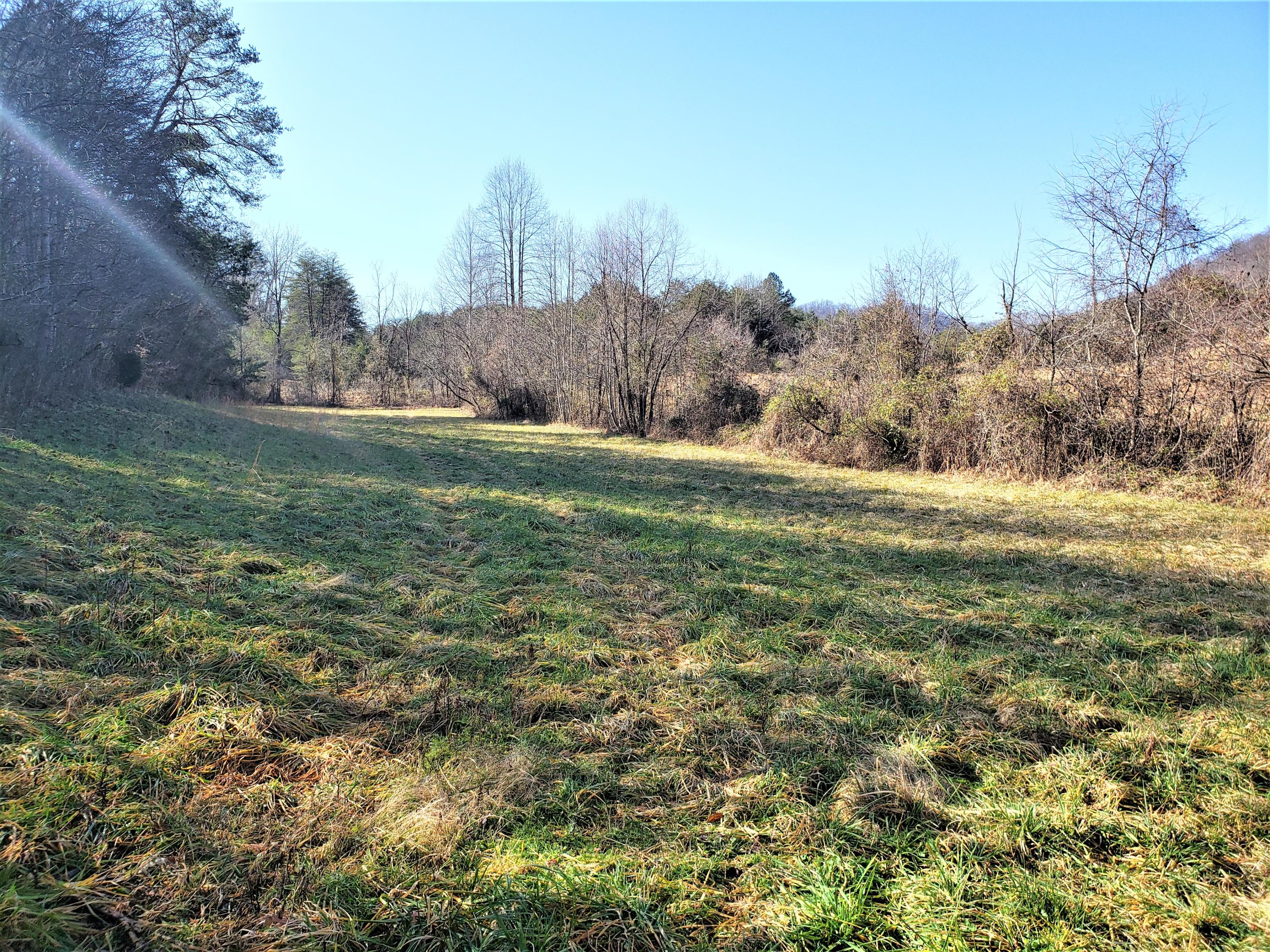 805 Butcher Valley Road Rogersville, TN 37857 - Photo 18 of 34 16