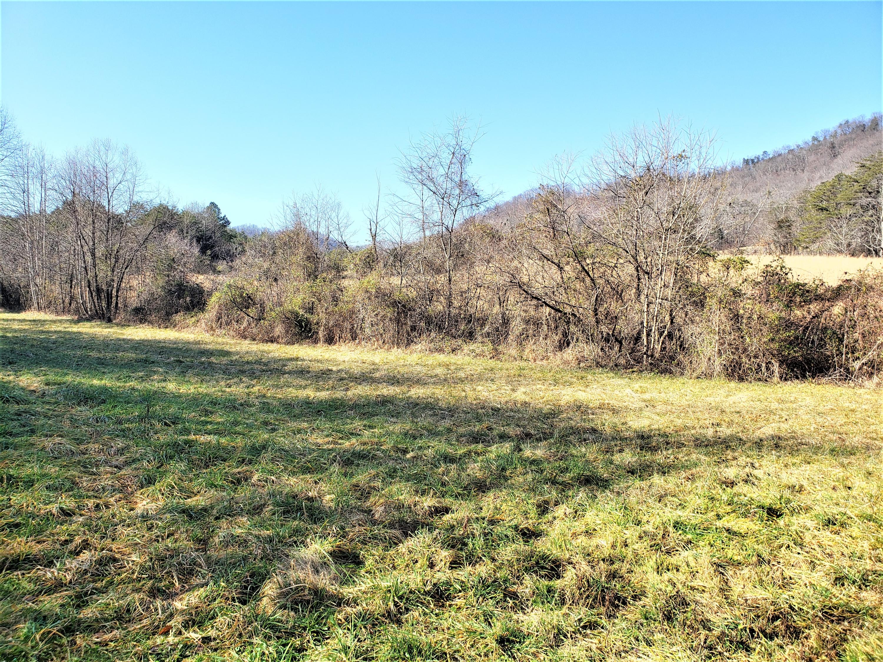 805 Butcher Valley Road Rogersville, TN 37857 - Photo 19 of 34 17