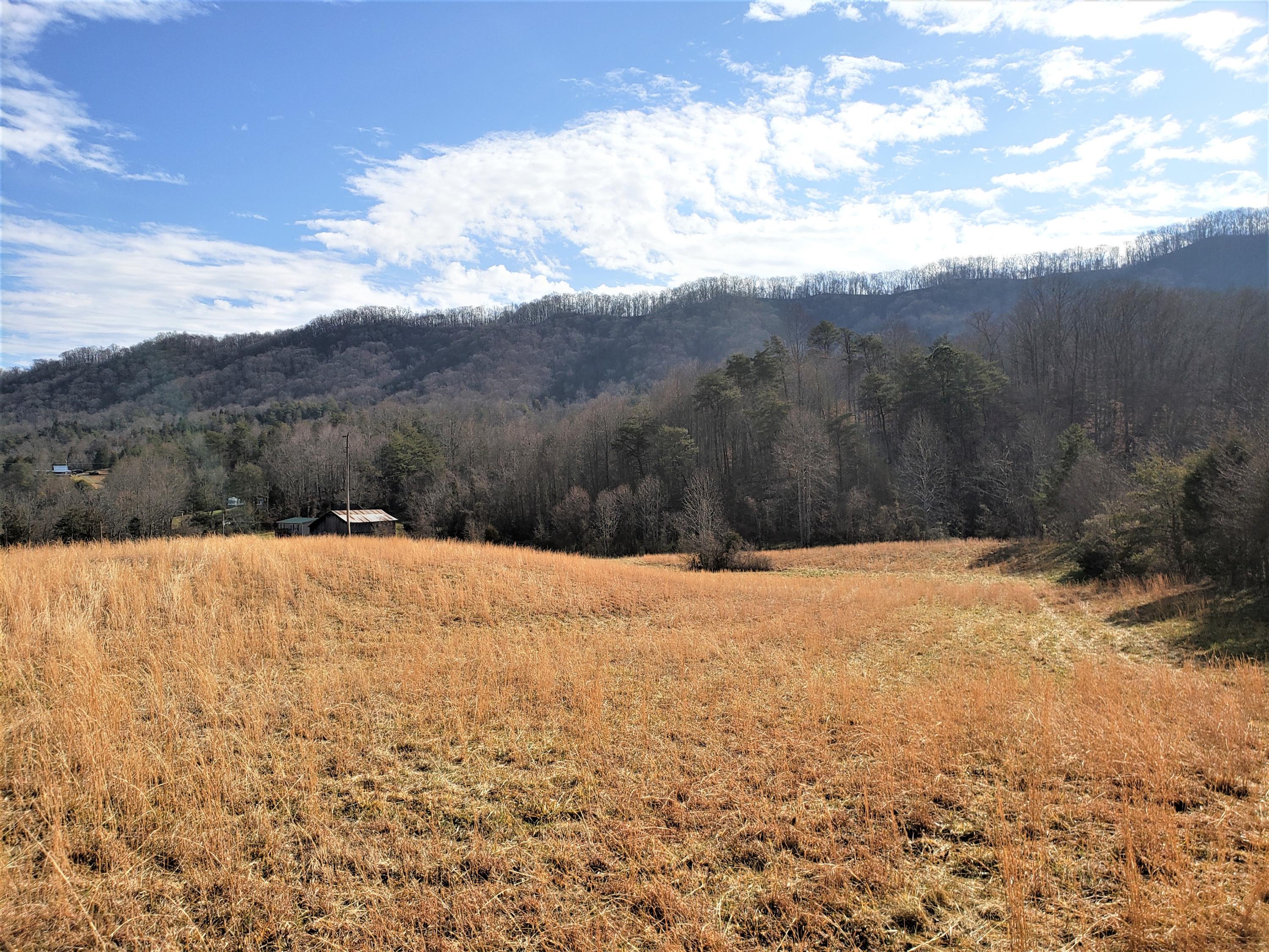 805 Butcher Valley Road Rogersville, TN 37857 - Photo 2 of 34 1