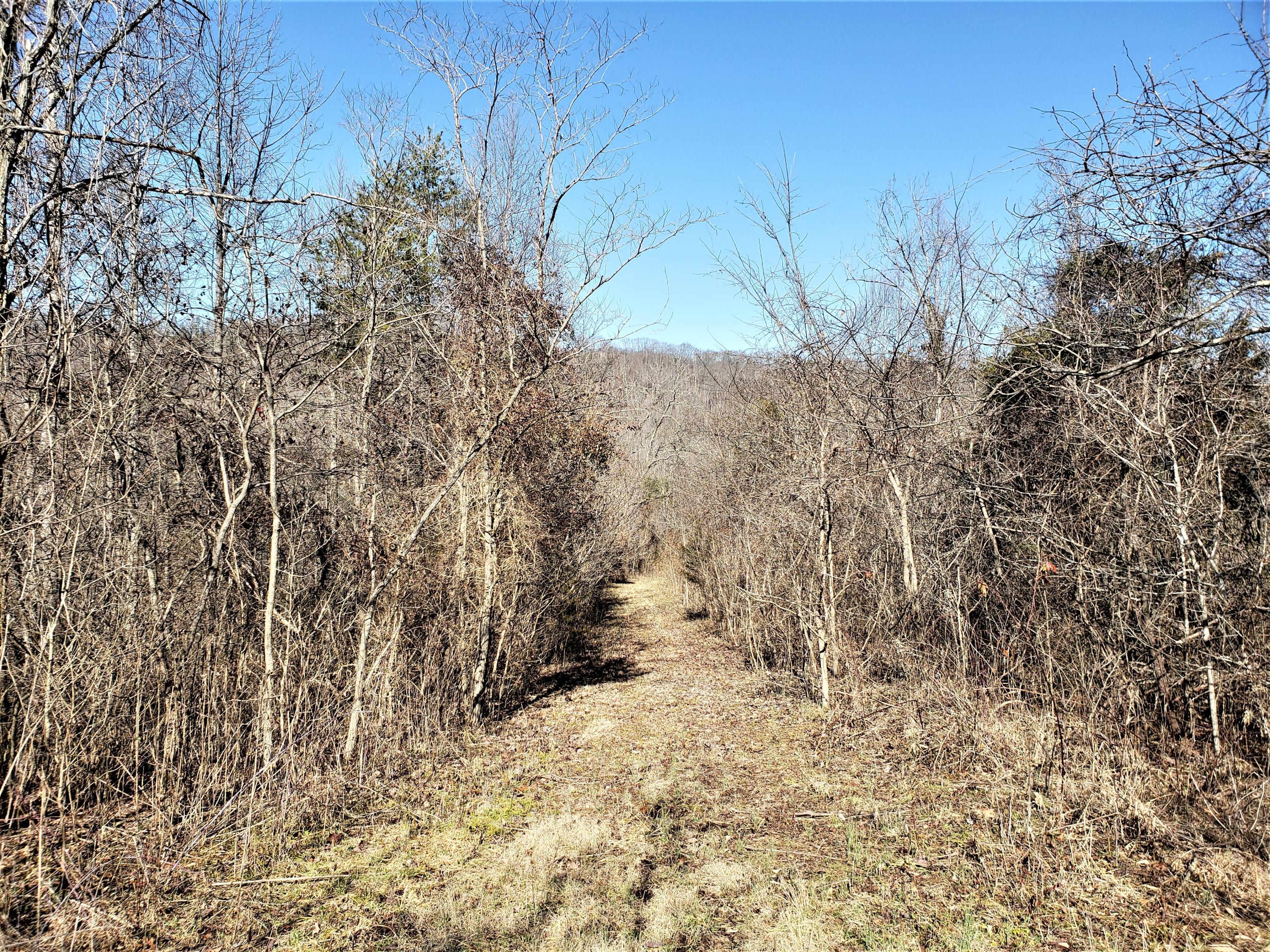 805 Butcher Valley Road Rogersville, TN 37857 - Photo 21 of 34 20