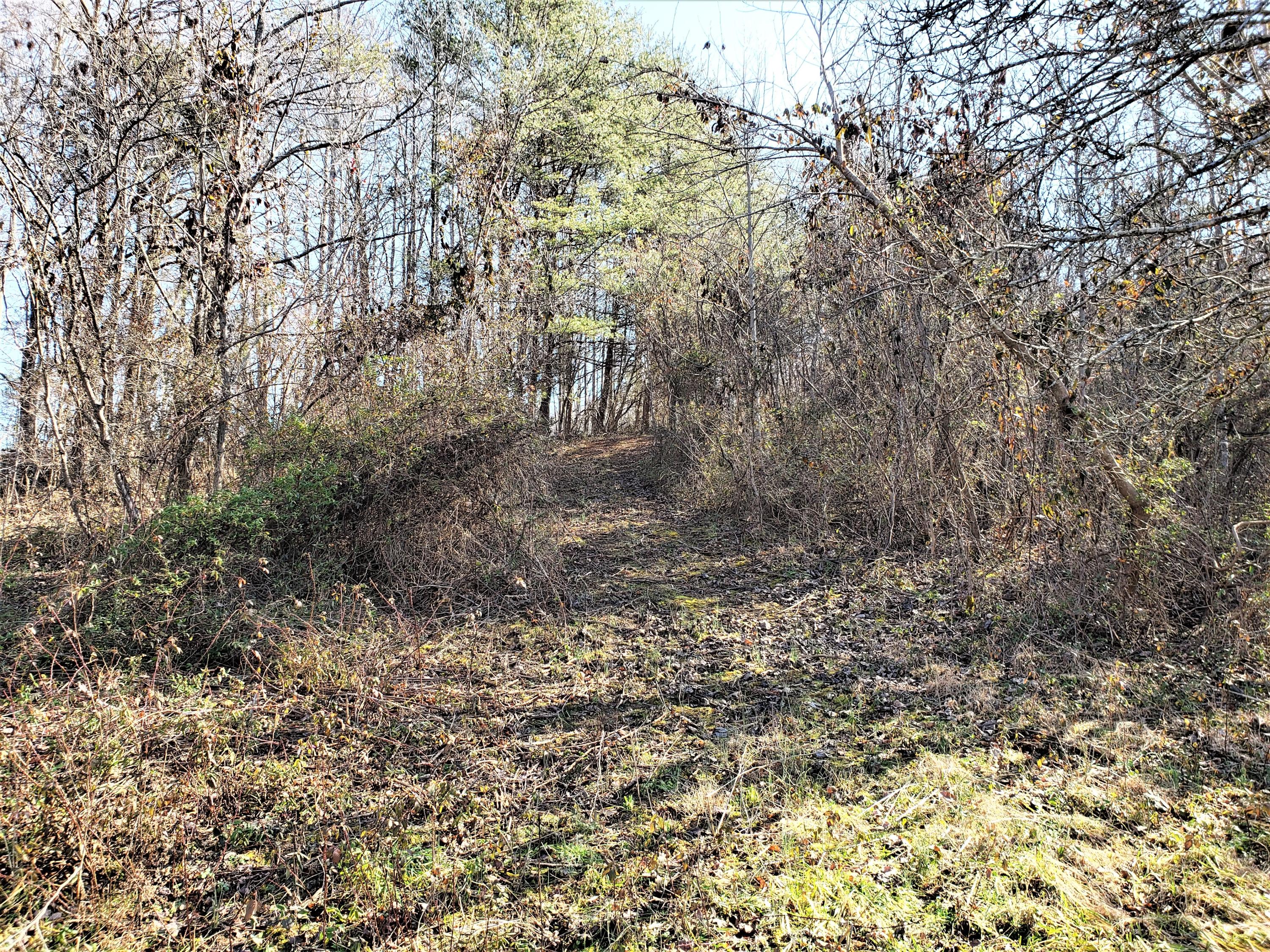 805 Butcher Valley Road Rogersville, TN 37857 - Photo 23 of 34 24