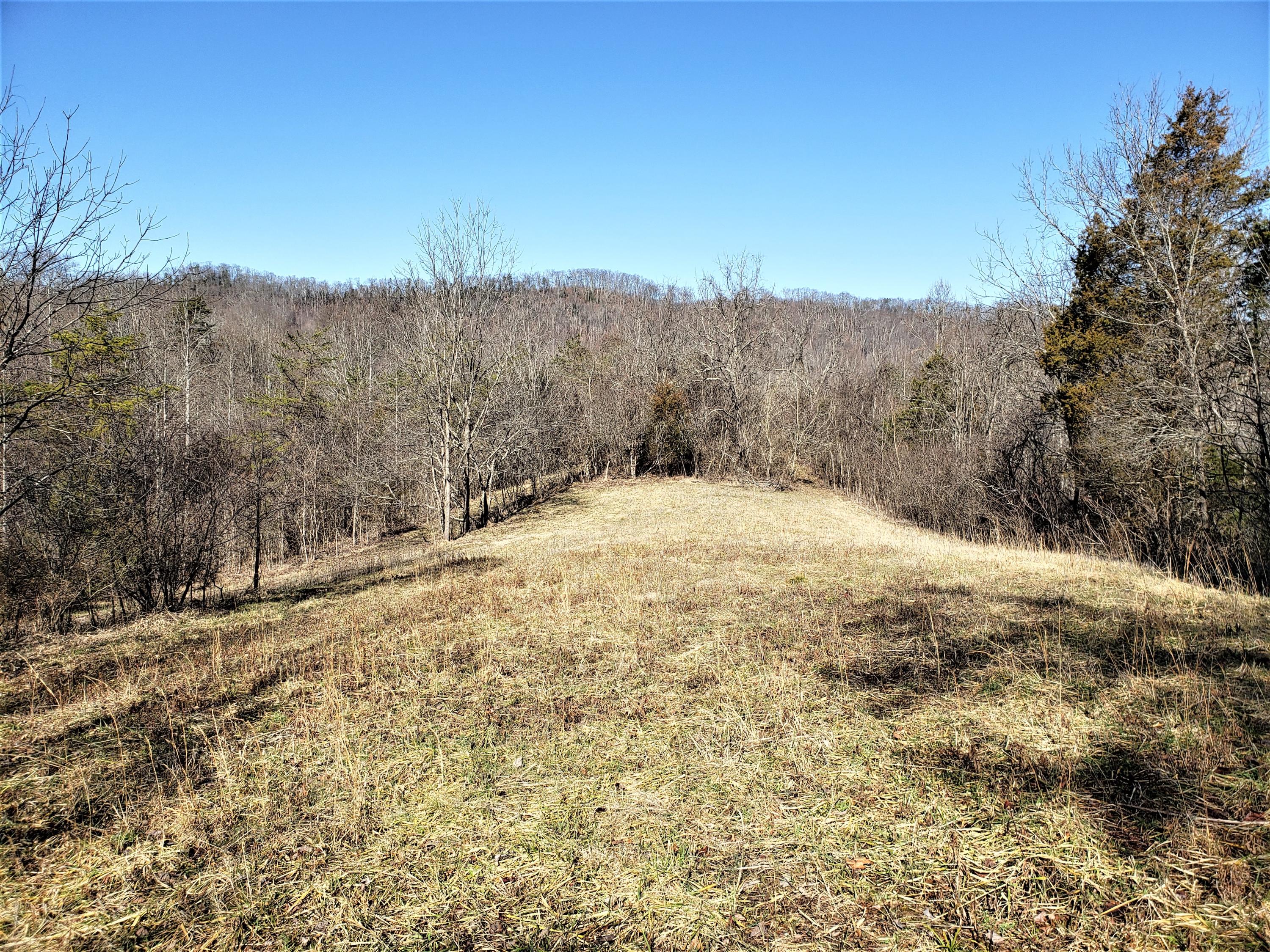 805 Butcher Valley Road Rogersville, TN 37857 - Photo 24 of 34 25