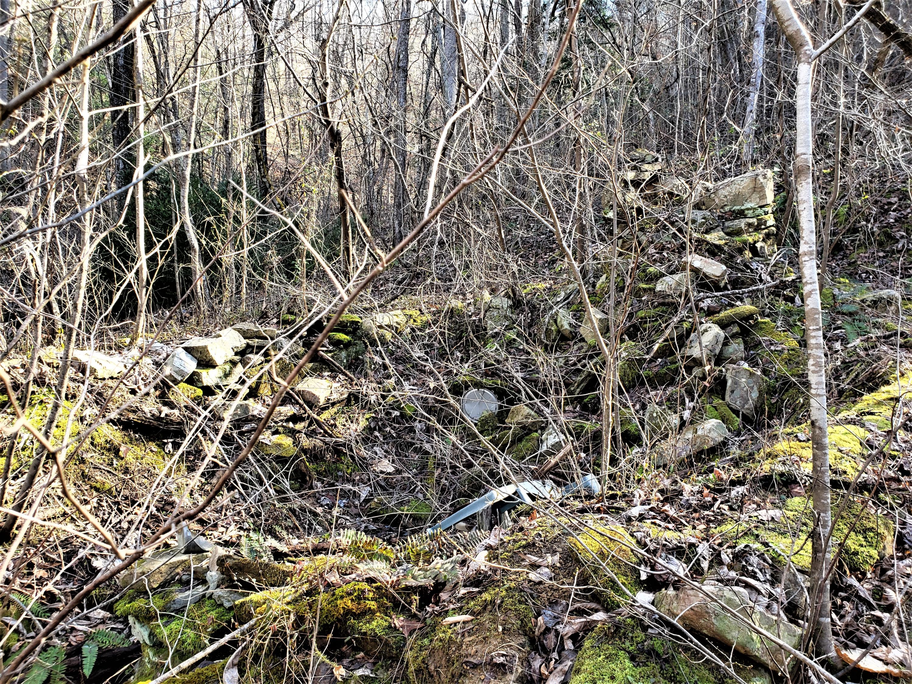 805 Butcher Valley Road Rogersville, TN 37857 - Photo 25 of 34 26
