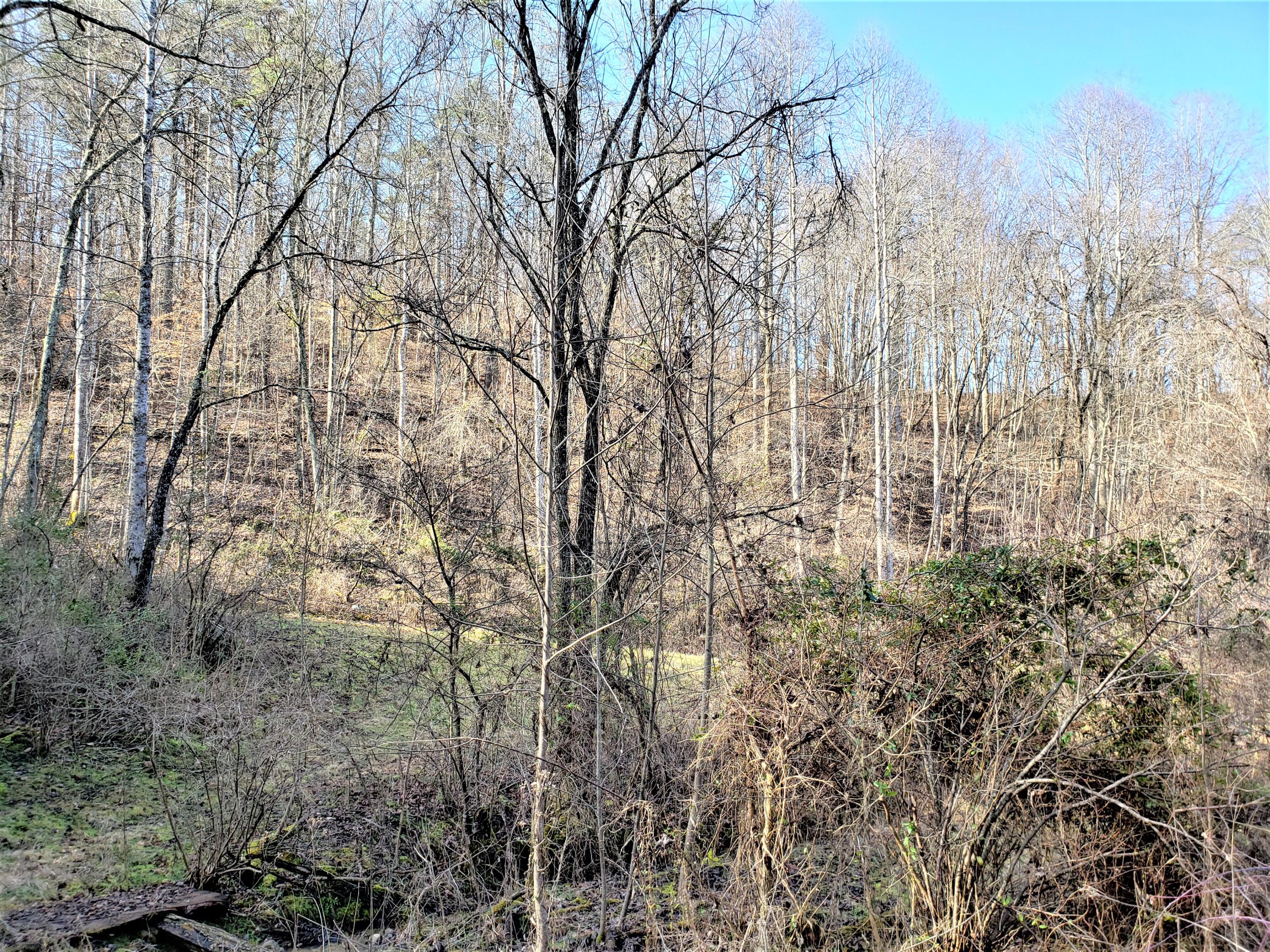 805 Butcher Valley Road Rogersville, TN 37857 - Photo 27 of 34 28