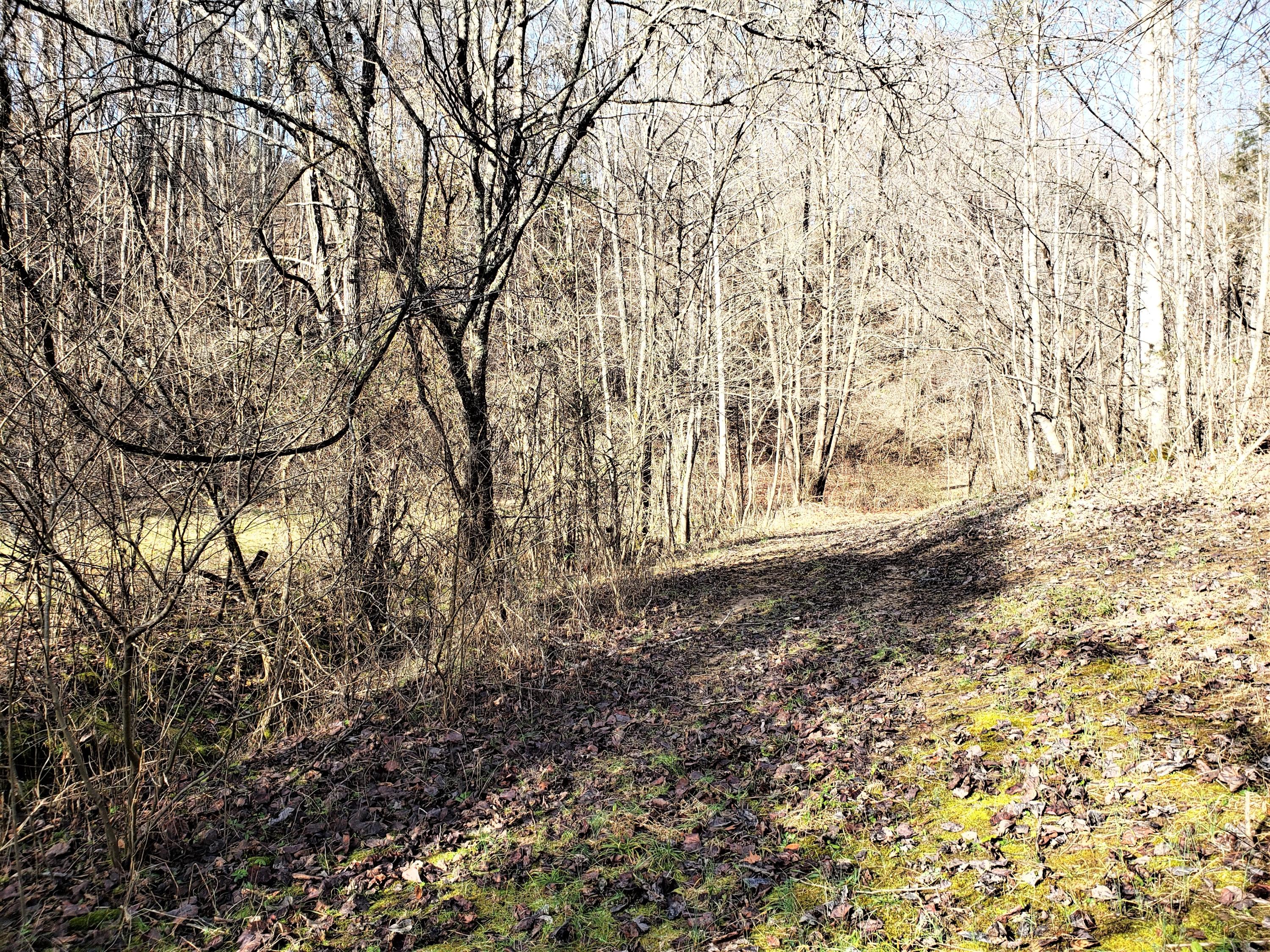 805 Butcher Valley Road Rogersville, TN 37857 - Photo 28 of 34 29